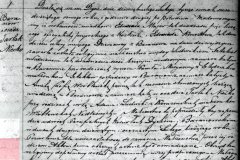 Aniela Zofia Wróblewska, ślub 1868 Dys