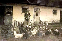 Aniela z Głowaczów Żbikowska, Nasutów,okupacja