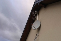 Antena satelitarna oraz konwerter Unicable Inverto + antena DVB-T