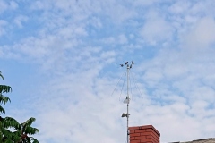 Ptasie radio już nadaje