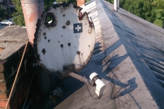 Ta antena wiele pamieta